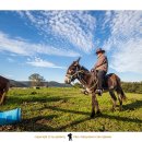 철수목장 이미지