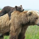 5150 피트니스 이미지