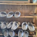 필제주 게스트하우스 이미지