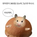 [후기] 컬러리스트 산업기사_다름 컬러리스트 내돈내산 후기