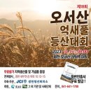 억새풀