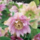 민도준류우마내과의원 이미지