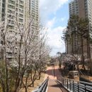 덕이공원 이미지