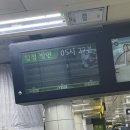 분명 집순이인데 집순이 아닌