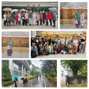 서울대학교 교정은 너무 넓어요♡ 이미지