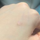 루리디아 립밤 샤이닝 모먼트 케어링 립밤 후기 5/26 출시예정 신상