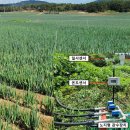 팜스마트 이미지