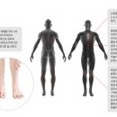 신기한 손 테라피
