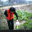 형수농장 이미지