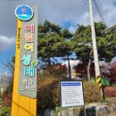 어린이생태학습도서관 | 광주광역시 서구 [어린이 생태 학습도서관] &amp; 금당초 행복한 우리집, 우리가족 벽화