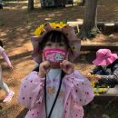 본아미강남어린이집 이미지