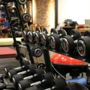 스타칼리 이미지