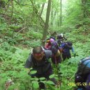 백두병원 이미지