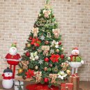 트리트리 이미지