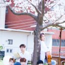 재현 Daum카페
