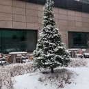 목과경로당 이미지