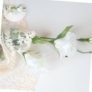 뉴매직크린 이미지