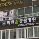 마린숲 동물병원 이미지