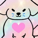 로즈그레이스 이미지