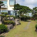 해가뜨는 성산에서 이미지