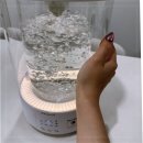 지수2(수동) | 발뮤다 가열식 가습기 사용하다 교체한 신일 후기