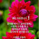 산대 Daum카페