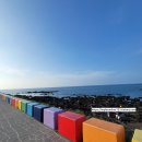 중동로 296 | 제주맛집추천 현지인찐맛집, 8월 제주여행후기