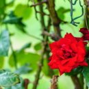 마석기독의원 이미지