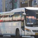 와이드대성 이미지