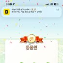 총각순대
