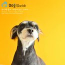 도그스케치 이미지