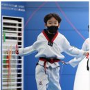 브레인박사 태권도장 이미지
