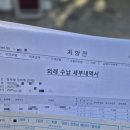 장튼위튼병원 | 장튼위튼 위 내시경 검사 후기