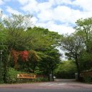 서귀포자연휴양림 이미지