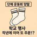 단체 운동회 양말 | 학교 행사 작년에 이어 여기서 또 주문 후기