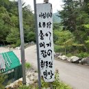 미산고로쇠협동조합 | [강원/인제]내린천 상류 피아시계곡 &#34; 짱구네 민박&#34; 계곡에서 먹는 토종닭 백숙과 송어회 메기매운탕