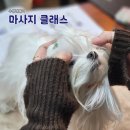 더힐테라피센터 이미지