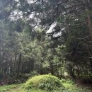 제주 와일드 이미지