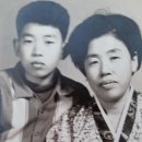 자연의 순환 이미지