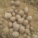 억새풀농장 이미지