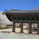 환성사