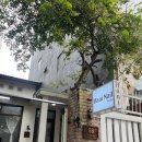 예전 | 다낭 하니네일 스튜디오 재방문 후기 예전과 완전히 달라진 분위기 솔직 후기