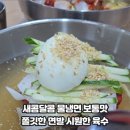 삼대냉면명일점 이미지