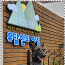 유달산의 아침 이미지