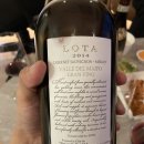 로타(LOTA) 이미지