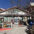 괘내함지박 이미지