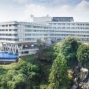 나무늘보호텔 이미지