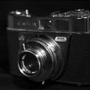 코리아 애견 이미지