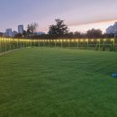 대박펫살롱 이미지