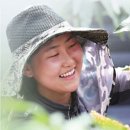 구아바 연구회